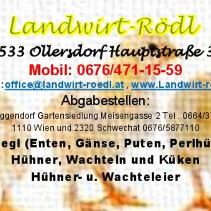 Logotipo de Landwirt-Roedl