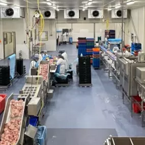 Uitsnijden van filet
Onze kip komt binnen, al geslacht en geplukt. Onze vakmensen snijden direct de kipfilets eruit met professionele technieken en apparatuur, zodat ze mals en van topkwaliteit blijven.