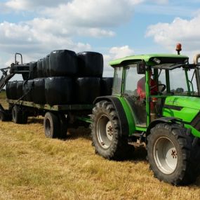 Bild von Boerderij Eben-Haëzer