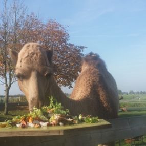 Bild von Boerderij Eben-Haëzer