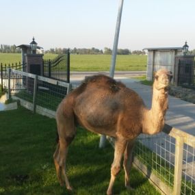 Bild von Boerderij Eben-Haëzer