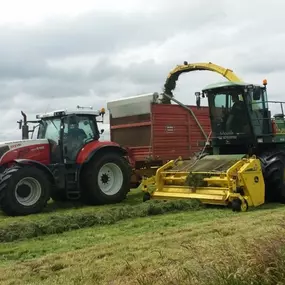 Bild von Boerderij Eben-Haëzer