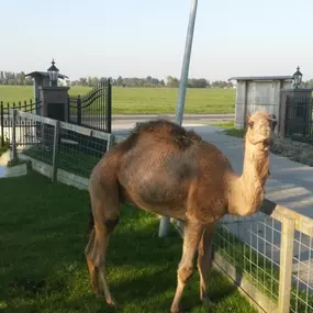 Bild von Boerderij Eben-Haëzer