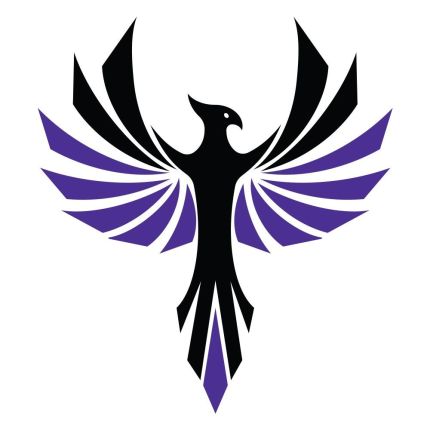 Logo fra Cosmic Phoenix USA