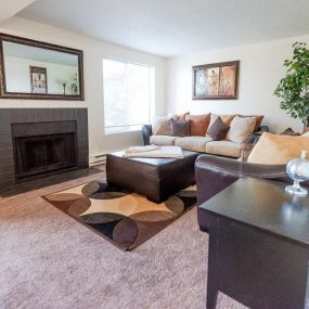 Living Room and Fireplace