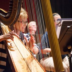 Bild von Harpist - Alice Spero Keene