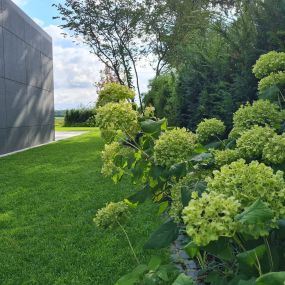 Bild von GAIA Garten- und Landschaftspflege