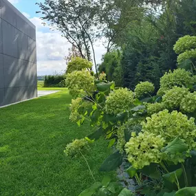 Bild von GAIA Garten- und Landschaftspflege