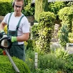 Bild von Gemeinschaftsbüro Hilfe-ist-da und Hausmeisterdienst-pflegeleicht