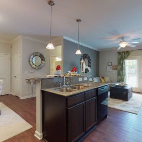 Open space living room and kitchen