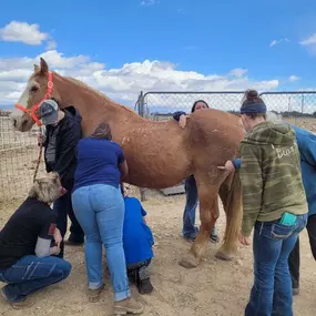 Bild von Colorado Academy of Veterinary Technology