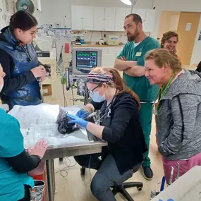 Bild von Colorado Academy of Veterinary Technology