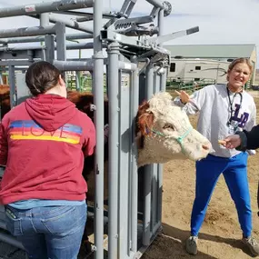 Bild von Colorado Academy of Veterinary Technology