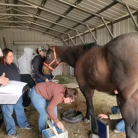 Bild von Colorado Academy of Veterinary Technology - CLOSED