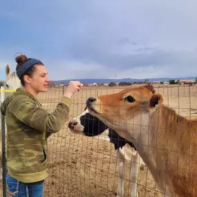 Bild von Colorado Academy of Veterinary Technology - CLOSED