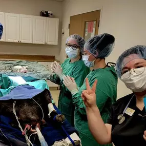 Bild von Colorado Academy of Veterinary Technology - CLOSED