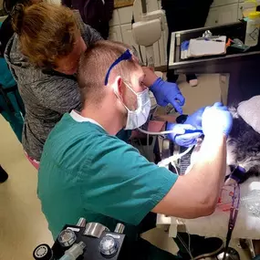 Bild von Colorado Academy of Veterinary Technology - CLOSED