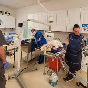 Bild von Colorado Academy of Veterinary Technology - CLOSED