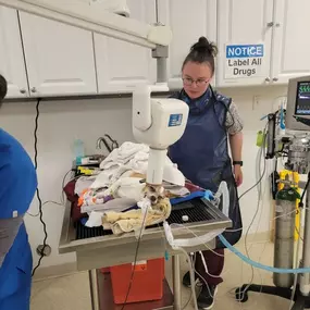 Bild von Colorado Academy of Veterinary Technology - CLOSED
