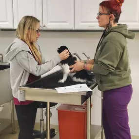 Bild von Colorado Academy of Veterinary Technology - CLOSED
