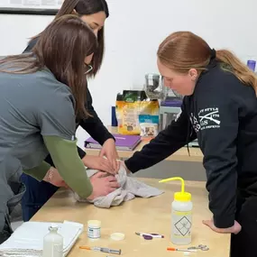 Bild von Colorado Academy of Veterinary Technology - CLOSED