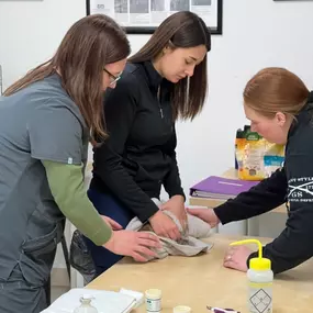 Bild von Colorado Academy of Veterinary Technology - CLOSED