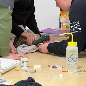 Bild von Colorado Academy of Veterinary Technology - CLOSED