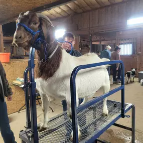 Bild von Colorado Academy of Veterinary Technology - CLOSED