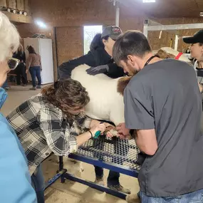 Bild von Colorado Academy of Veterinary Technology - CLOSED