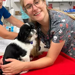 Bild von Colorado Academy of Veterinary Technology - CLOSED