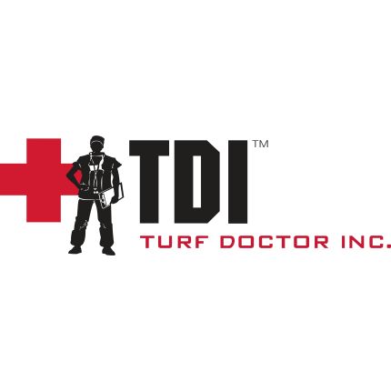 Logótipo de TDI Services