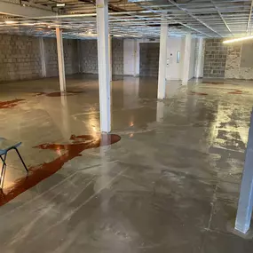 Bild von Premier Ceilings