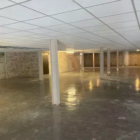 Bild von Premier Ceilings