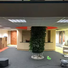 Bild von Premier Ceilings