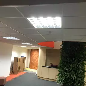 Bild von Premier Ceilings