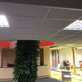 Bild von Premier Ceilings
