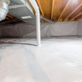 Bild von Your Crawlspace Solution