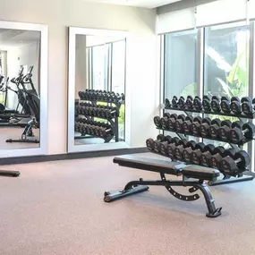 Health club  fitness center  gym