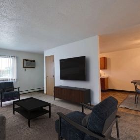 living room filled with furniture and a flat screen tv