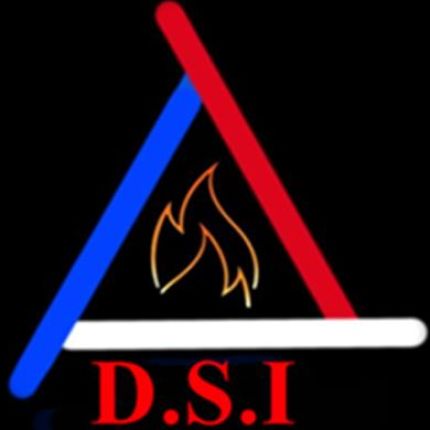 Logo van D.S.I