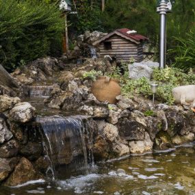 Keep your pond clean and serene with our pond maintenance services.