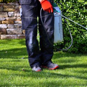 Keep the pests away with our turf and ornamental pest control services.