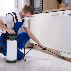 Pest Control Now Hanford, CA Pest Treatment