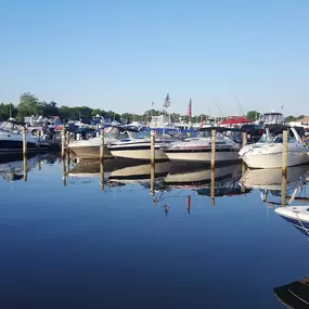 Bild von Lighthouse Point Marina