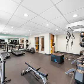 Health club  fitness center  gym