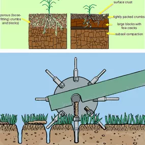 Core Aeration