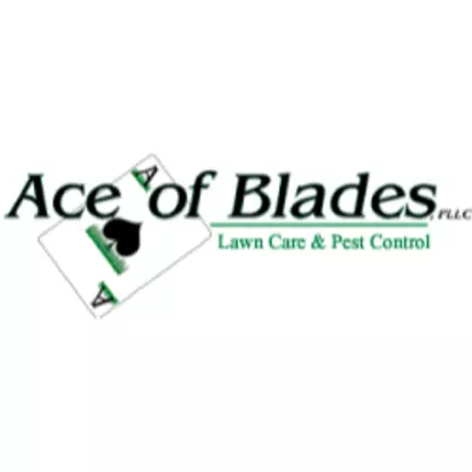 Logo von Ace of Blades