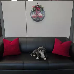 Come in for Jo, stay for a quote!