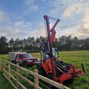 Bild von Arb-Spec Tree Surgery & Fencing