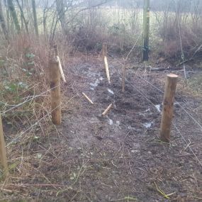 Bild von Arb-Spec Tree Surgery & Fencing